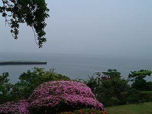 的山荘